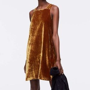 Brand New Ann Taylor Loft Velvet Dress